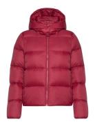 Mw Down Short Puffer Calvin Klein Jeans Pink