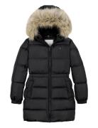 Long Waisted Down Jacket Tommy Hilfiger Black