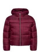 Logo Aop Puffer Jacket Calvin Klein Red