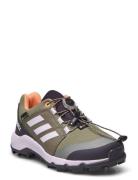 Terrex Gtx K Adidas Terrex Green