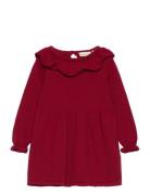 Dress Knit Minymo Burgundy