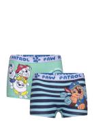 Boxer Paw Patrol Blue