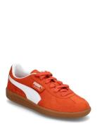 Palermo Jr PUMA Orange