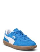 Palermo Ps PUMA Blue