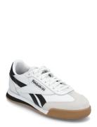 Campio Xt Reebok Classics White