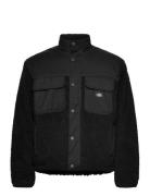 Pinesdale Jacket Dickies Black