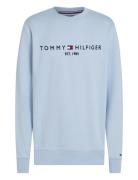 Tommy Logo Sweatshirt Tommy Hilfiger Blue