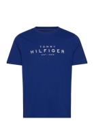 Big Hilfiger Tee Tommy Hilfiger Blue