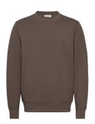 Cfsebastian Crew Neck Sweat Casual Friday Brown