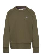 Shield C-Neck GANT Green