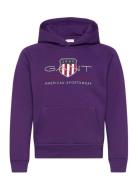 Archive Shield Hoodie GANT Purple