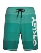 Retro Mark 19" Boardshort OAKLEY Green