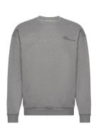 Halo Essential Crew HALO Grey