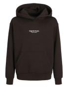 Jorvesterbro Sweat Hood Noos Jnr Jack & J S Brown