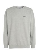 L/S Sweatshirt Calvin Klein Grey