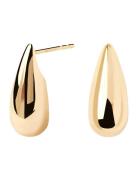 Large Sugar Earrings PD Paola Gold