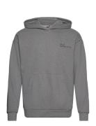 Halo Essential Hoodie HALO Grey