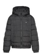 Shield Padded Jacket GANT Black