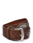 Metal Appliqué Belt Mango Brown