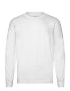 Hco. Guys Knits Hollister White