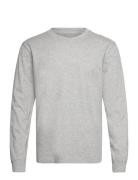 Hco. Guys Knits Hollister Grey