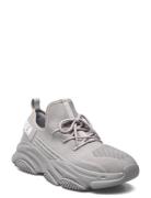 Prospect Sneaker Steve Madden Grey