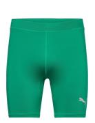 Liga Baselayer Short Tight PUMA Green