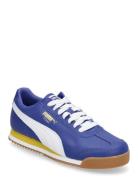 Roma 24 Standard PUMA Blue