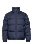 Hco. Guys Outerwear Hollister Navy