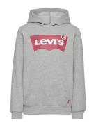 Levi's® Screenprint Batwing Pullover Hoodie Levi's Grey