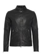 Cora Jacket AllSaints Black