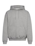 Wbpacs Base Hoodie Woodbird Grey