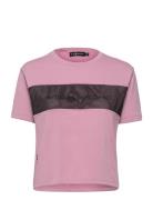 W Beam Top Sail Racing Pink