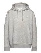 Rel Shield Hoodie GANT Grey