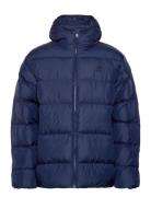 Adidas Originals Tonal Hooded Puffer Adidas Originals Navy