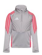 Tiro24 Wintopy Adidas Performance Grey