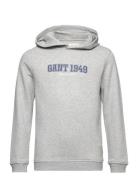 Gant 1949 Hoodie GANT Grey