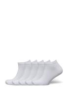 5 Pk Low Cut Sock Lindbergh White