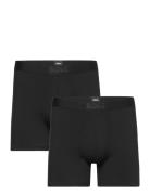 Boxerbr 2P Ultrasoft BOSS Black