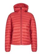 Spirit Down Liner Hood Jacket Johaug Red