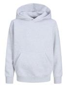 Jjeurban Edge Sweat Hood Noos Jnr Jack & J S Grey