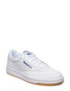 Club C 85 Reebok Classics White