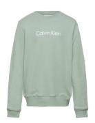 Inst. Logo Regular Cn Calvin Klein Green