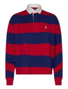 Striped Cropped Jersey Rugby Shirt Polo Ralph Lauren Red