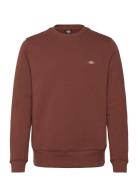 Oakport Sweatshirt Dickies Brown