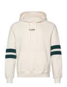 Hco. Guys Sweatshirts Hollister Cream