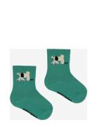 Baby Fairy Dog Short Socks Bobo Choses Green