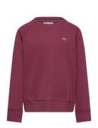 Shield C-Neck GANT Burgundy