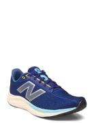 New Balance Freshfoam Arishi V4 New Balance Blue