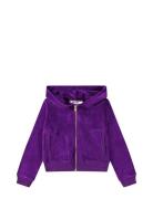 Milla Molo Purple